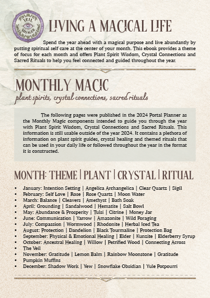 Living a Magical Life: Portal Planner Monthly Magic 2024 version